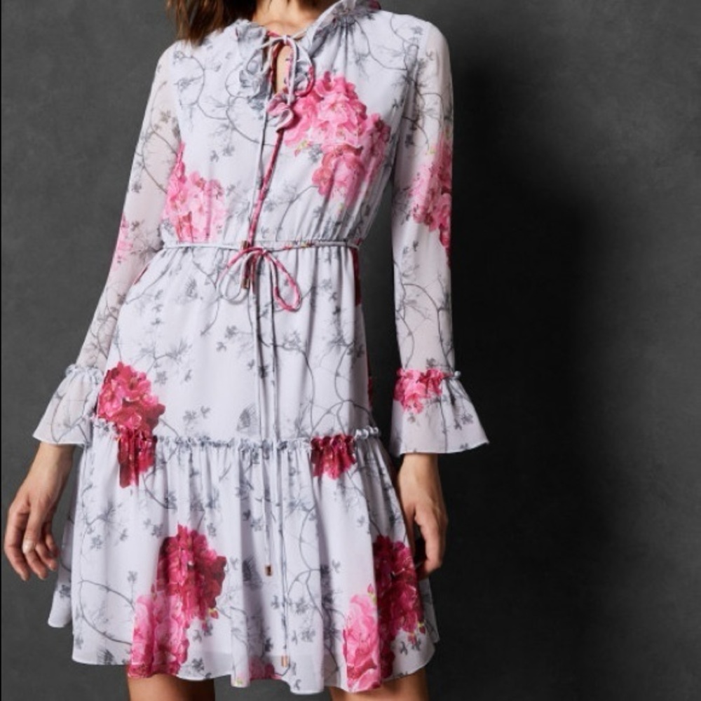 🎉Host Pick🎉 Ted Baker Babylon Ruffle Floral Dress – Size 4, Excellent Condition